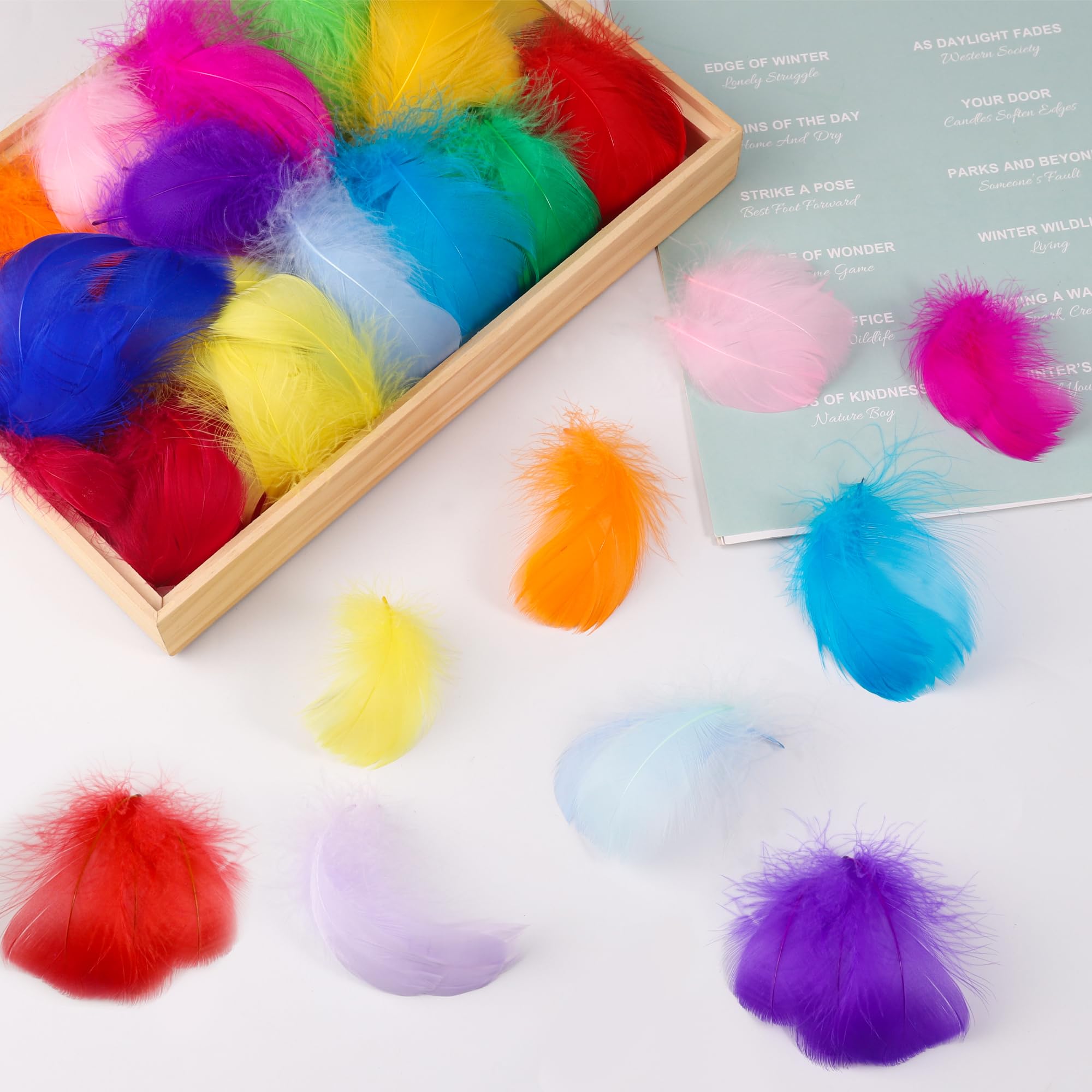 BARSDAR 1500pcs Colorful Craft Feathers 3-5Inchs for Crafts Bulk 15Colors Decorative Feathers hat Feathers for DIY Crafts Wedding Home Party Decorations