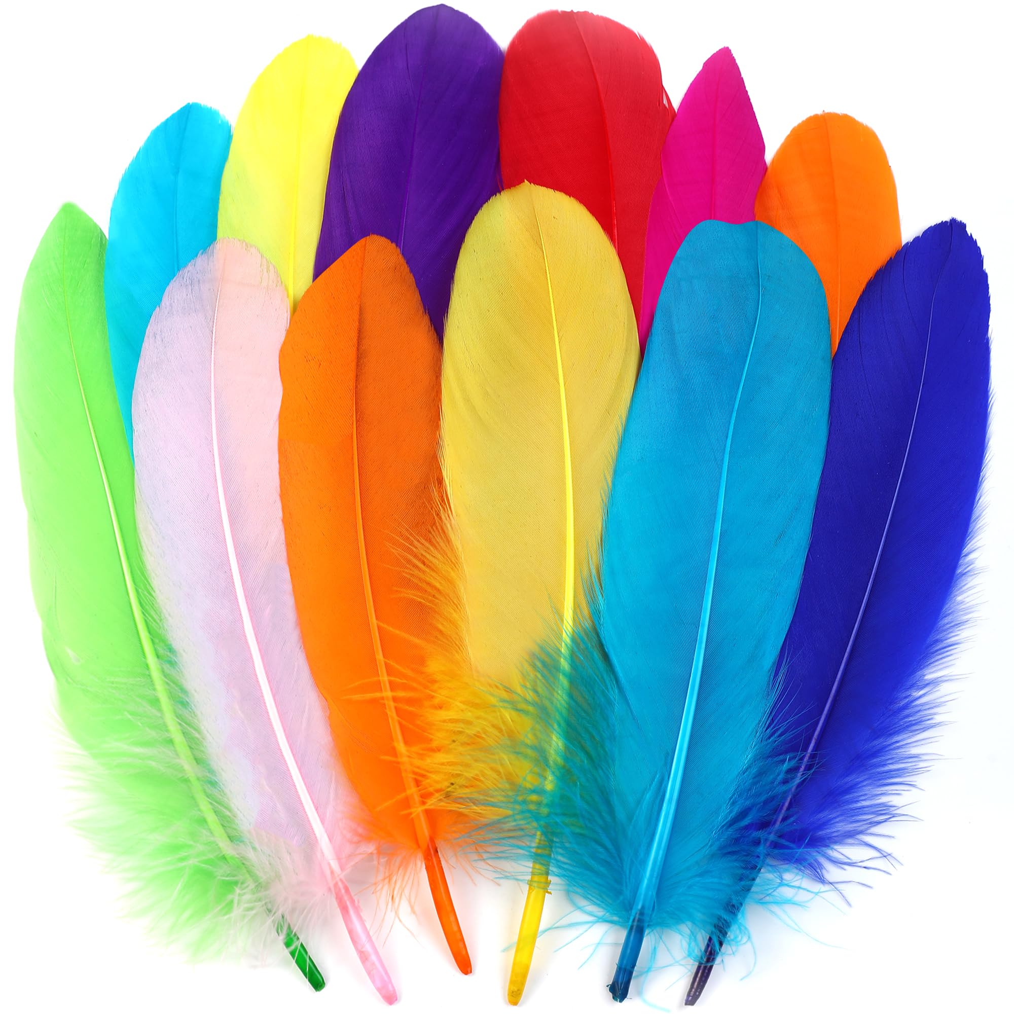 BARSDAR Colorful Goose Feathers for Crafts - 120Pcs 6-8inch Craft Colored Feathers for DIY Crafts,Angel Wings,Dream Catcher and Wedding Party Decor