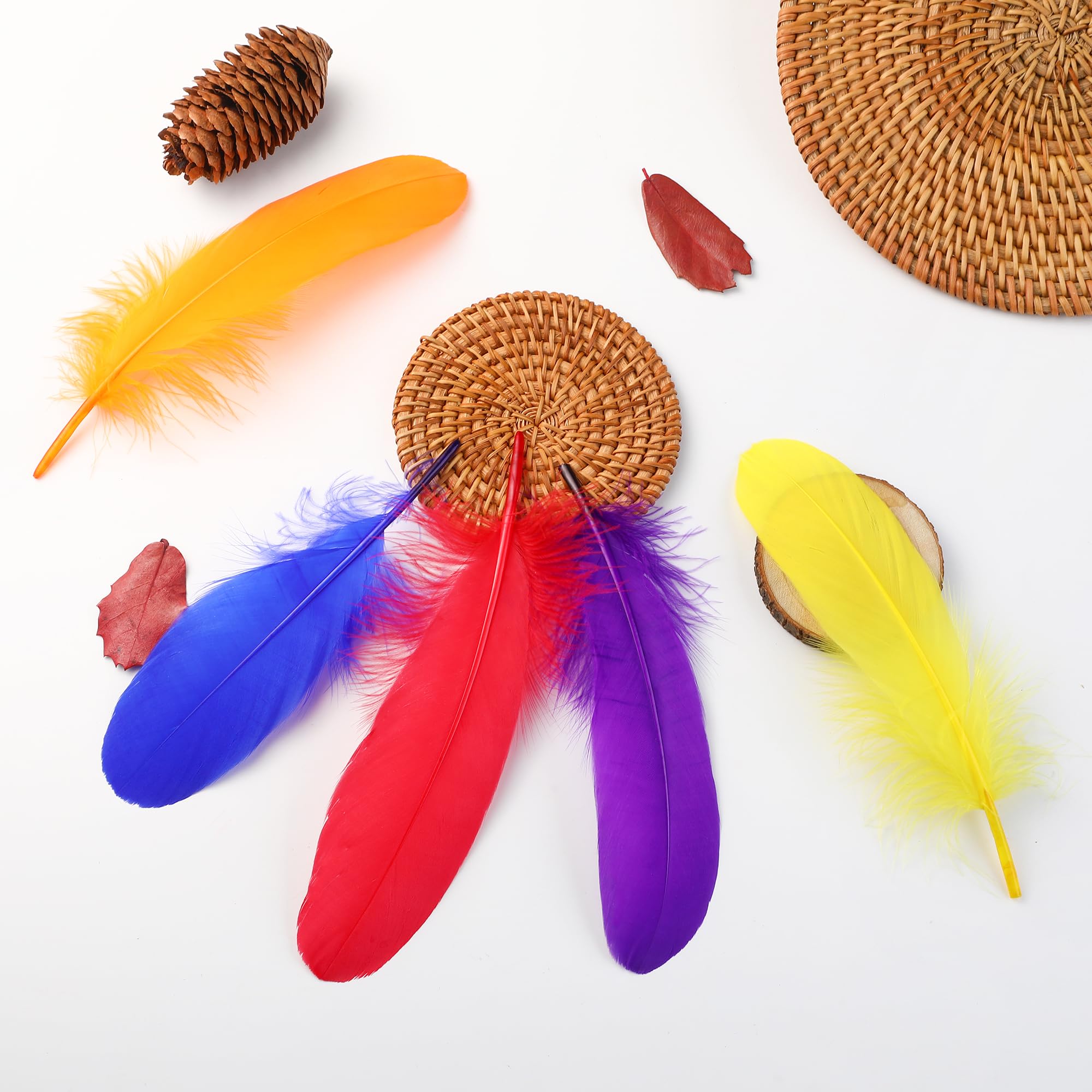 BARSDAR Colorful Goose Feathers for Crafts - 120Pcs 6-8inch Craft Colored Feathers for DIY Crafts,Angel Wings,Dream Catcher and Wedding Party Decor
