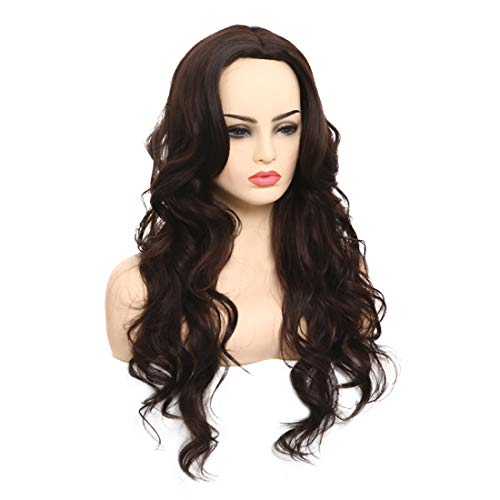 BARSDAR 27'' Brown Long Wavy Curly Wig Rose Net Full Head Wigs for Women Side Part Heat Resistant Synthetic Wigs with Light Bangs （8038）