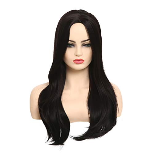 BARSDAR 25'' Long Straight Wig with Rose Net Full Head for Women Middle Part Black Heat Resistant Synthetic Wigs（8049）