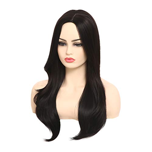 BARSDAR 25'' Long Straight Wig with Rose Net Full Head for Women Middle Part Black Heat Resistant Synthetic Wigs（8049）