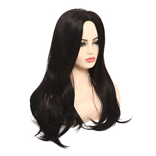 BARSDAR 25'' Long Straight Wig with Rose Net Full Head for Women Middle Part Black Heat Resistant Synthetic Wigs（8049）