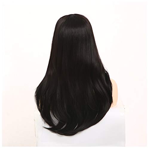 BARSDAR 25'' Long Straight Wig with Rose Net Full Head for Women Middle Part Black Heat Resistant Synthetic Wigs（8049）